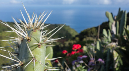 la-palma